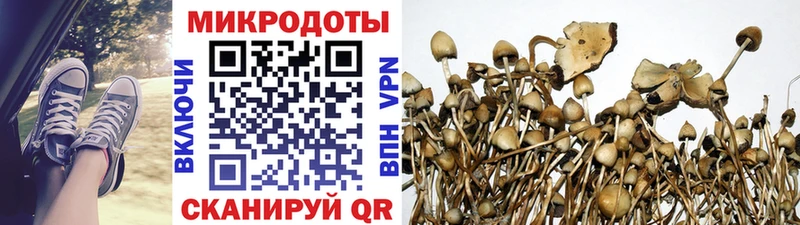 Галлюциногенные грибы Psilocybine cubensis  купить наркотики цена  Болхов 